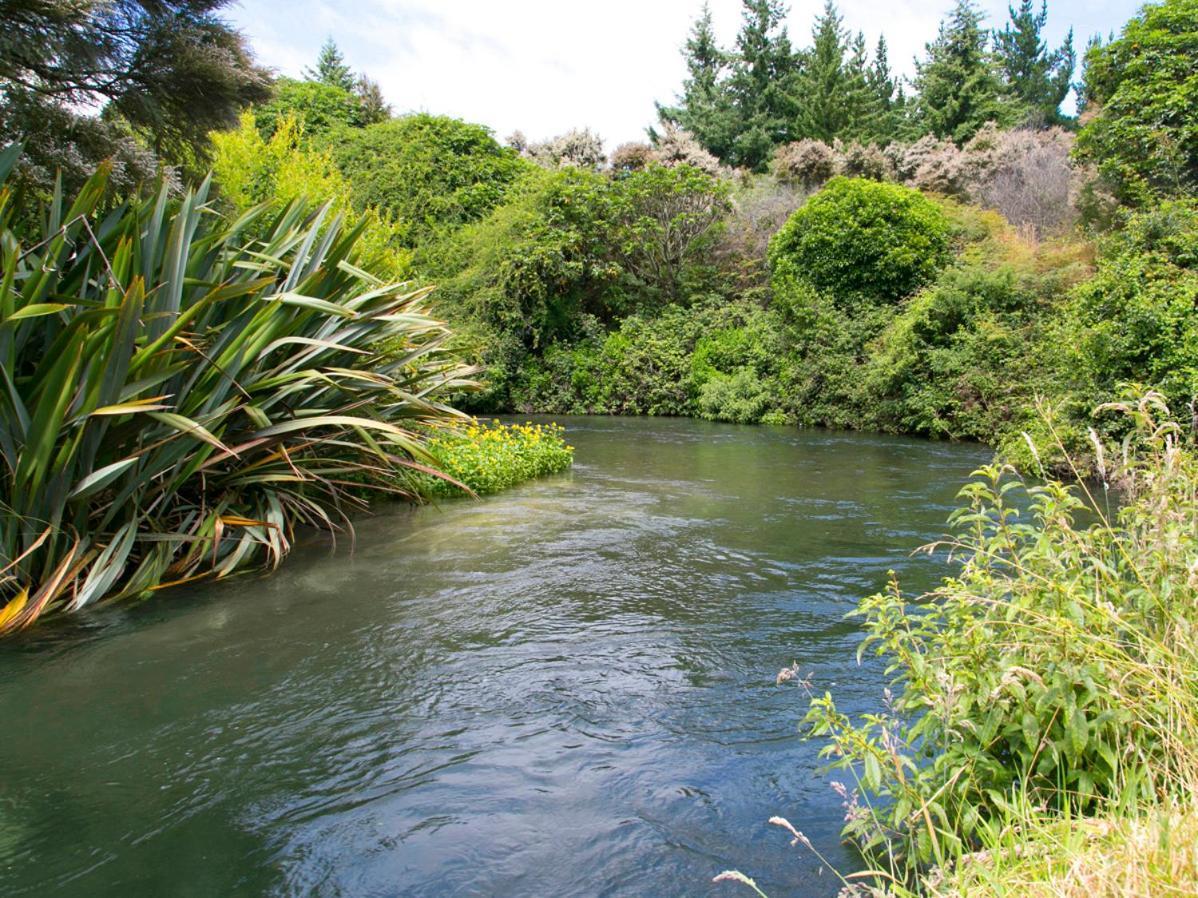Bellbird Cottage - Lake Taupo Bach Waitahanui Exterior foto