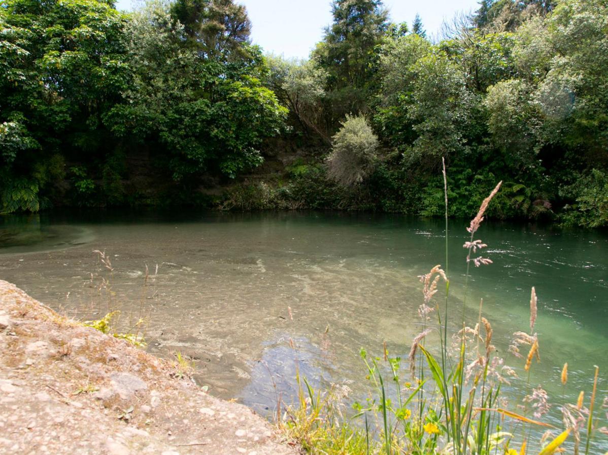 Bellbird Cottage - Lake Taupo Bach Waitahanui Exterior foto
