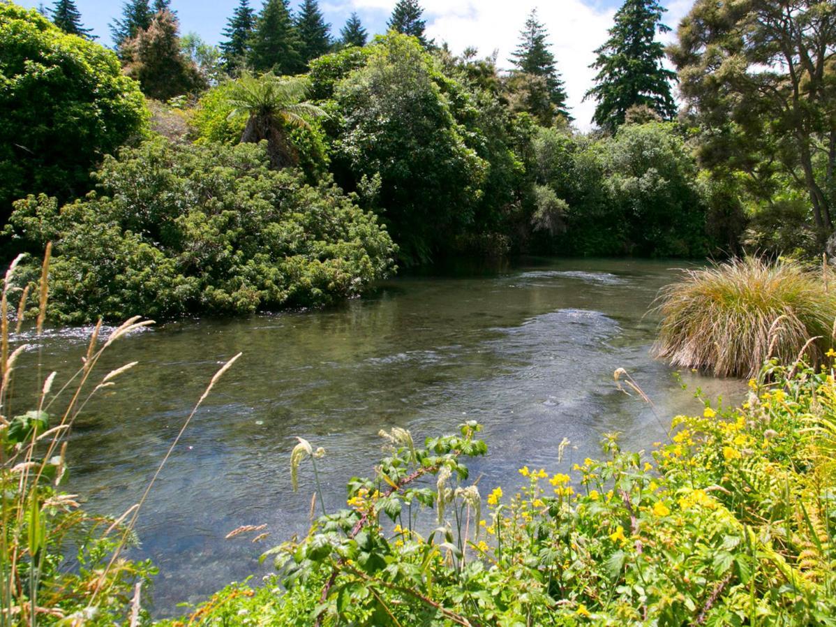 Bellbird Cottage - Lake Taupo Bach Waitahanui Exterior foto