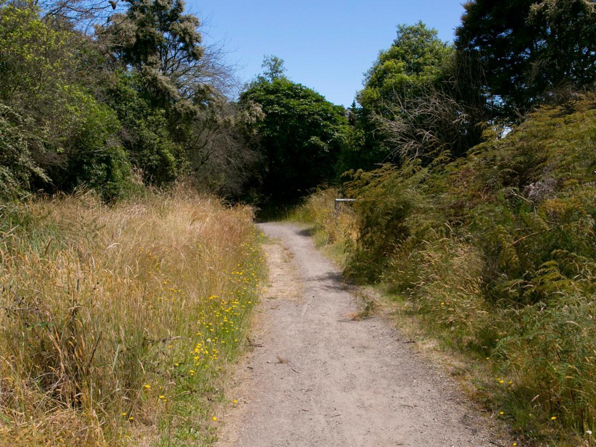 Bellbird Cottage - Lake Taupo Bach Waitahanui Exterior foto